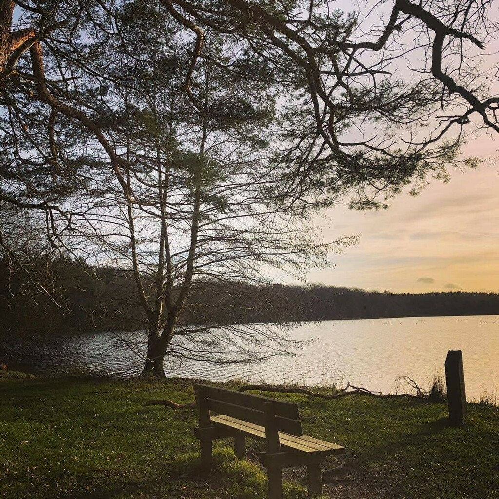 sarthetourisme's tweet photo. #Sarthetourisme Balade à Sillé-le-Guillaume 👣
.
📷 @sawadeeverophil
.⠀
.⠀
.⠀
#sarthetourisme #sarthe #paysdelaloire #sartheexplorer #silleleguillaume #balade #paysage #destinationcoco https://t.co/mkQ06mAE9k https://t.co/LU1ZPxQvdw