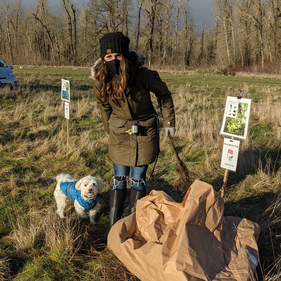 ColumbiaEstuary's tweet photo. We had great #volunteers at #SandyRiverDelta on #MLKDay.β―Thank you! Extra shout out to the group of MHCC students & Jeff from Friends of the Delta! Morning & afternoon groups planted 1,000 plants on a 1/2 acre. You can still help! Check our website for upcoming vol opps. https://t.co/ktBevrRUSr