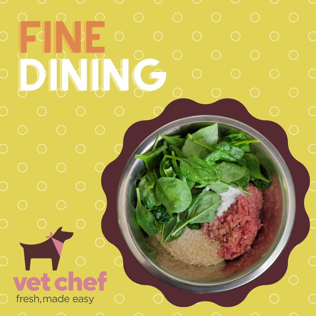 VetChef's tweet photo. Chicken, rice & spinach. 🍽️
A simple but nutritious and tasty recipe with good protein levels, energy from rice and micro-nutrients from spinach.
If you would like this recipe, DM or comment.
#vetchef #freshfeddogs https://t.co/MC06xs8CEn