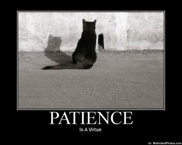 "It’s most commonly believed the line originated from the poem, Piers Plowman, said to have been written around 1360 by English poet William Langland, about a man in search of faith. One line in the poem states that “patience is a fair virtue.” "