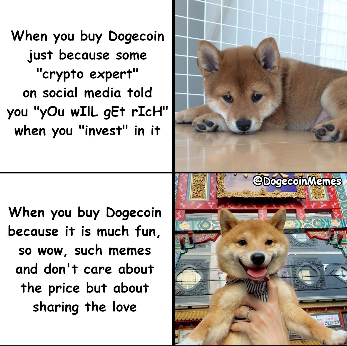 Dogecoin Memes (@DogecoinMemes) | Twitter