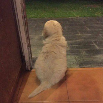 Albertito_lop's tweet photo. -te. enojaste.?.
-no.
-escuchamos. a. louis.?. https://t.co/UmemicuH9r