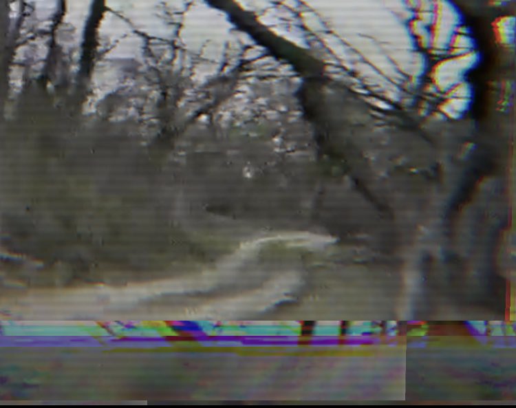 can anyone see this photo?