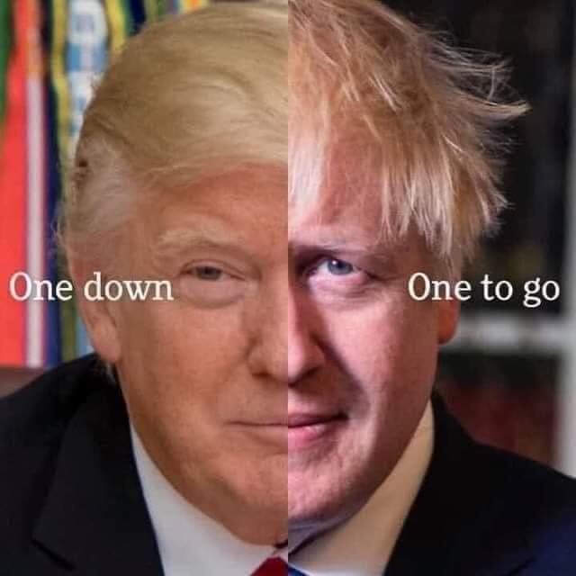 One buffoon down, one to go. 😉

#TrumpOut #JohnsonMustGo