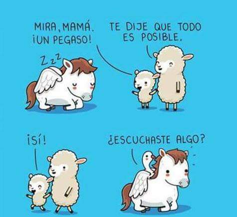 Alba 🍂🍁🌰🐑🐐🐄🌟🌟 tweet media