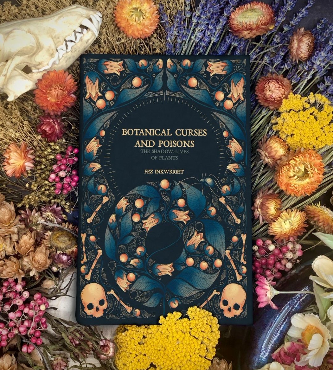 Shelf_lyfe_'s tweet photo. This is my current read & it is SO interesting and gorgeous
Did you know bluebell sap was used in bookbinding and is a natural insecticide?
I will be sharing my thoughts on Feb 9th 🌱🌺☠
#BotanicalCursesAndPoisons from @Rosdottir
#Liminal11 #RandomThingsTours #FezInkwright https://t.co/az2x0Ttdkp