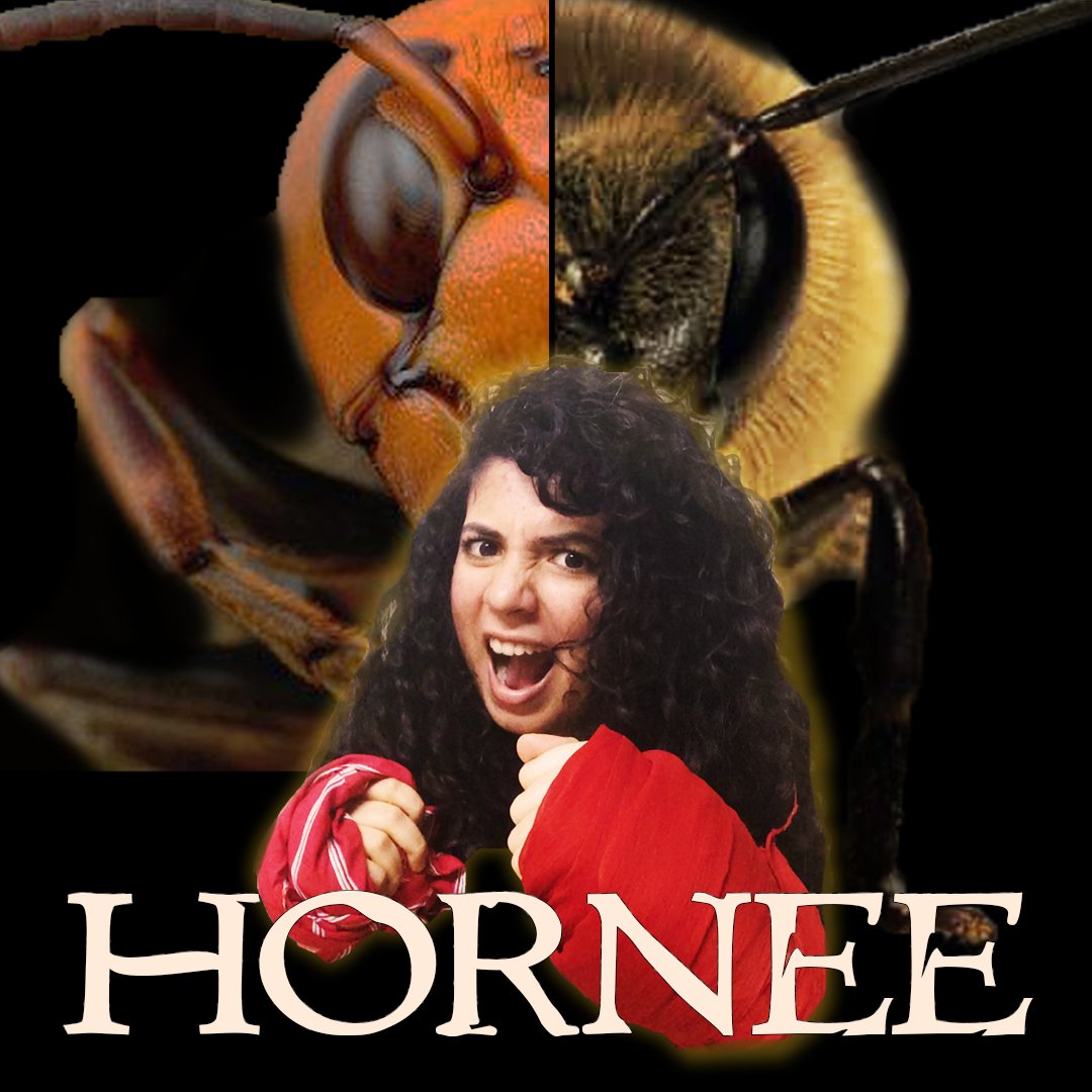 Hornets are harmful, bees are not, but horniness is DEADLY   #knowthedifference