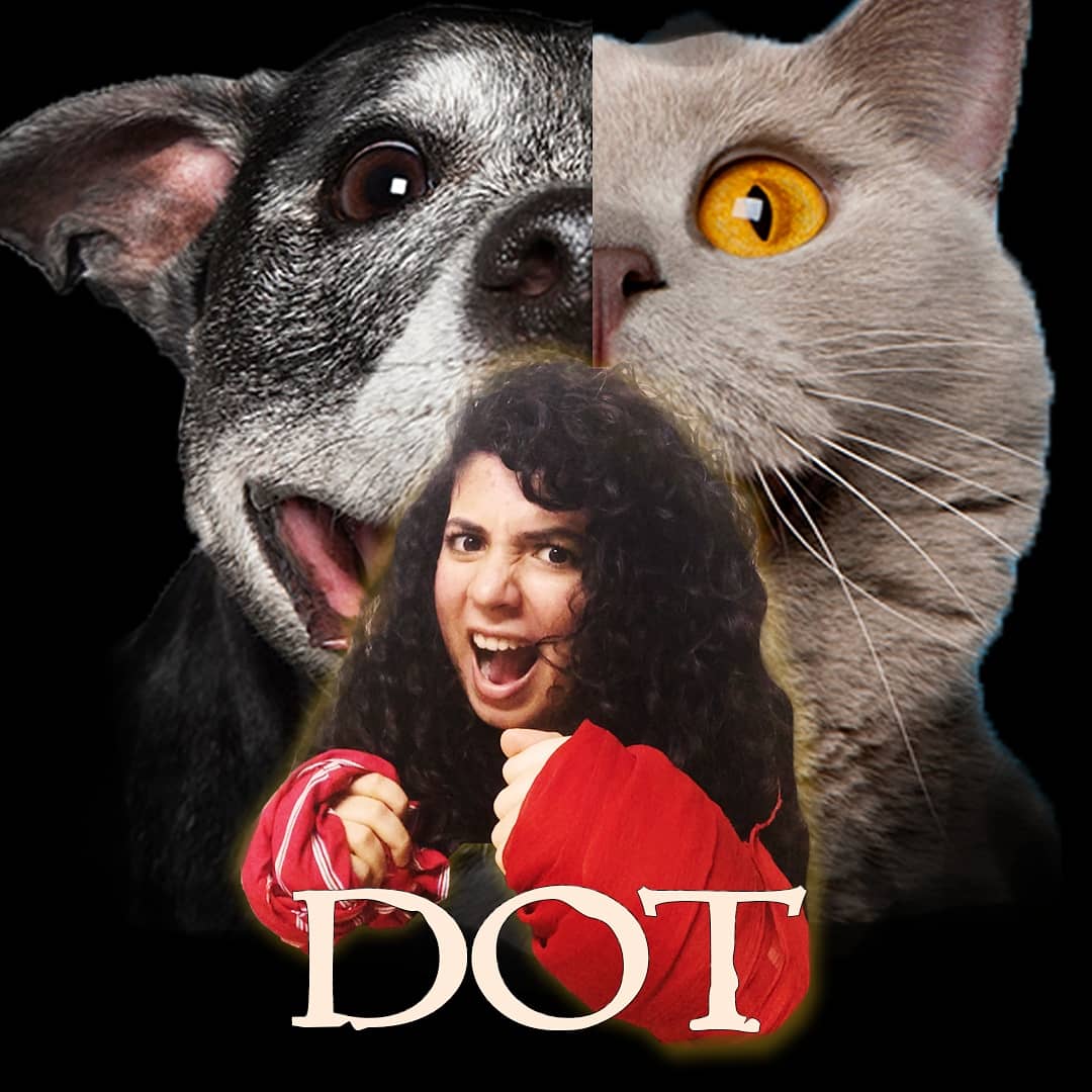 That's all your honour