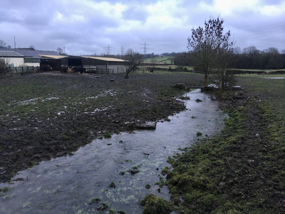 FloralRainbowAW's tweet photo. The brook at the bottom of the hill still swollen with rain water, at times like these I’m glad we live on Brook hill 😀 and although it’s raining it’s nice to be able to take photos at this time of day #afternoonwalk #gettinglighter 🥾🧤 https://t.co/GJD3h6s6YJ