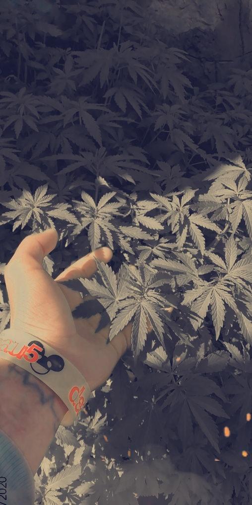 RomanceYourWild's tweet photo. Trippy vibz💥 https://t.co/PTTS5etxXi