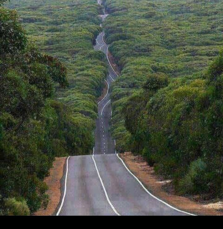 mawizz's tweet photo. @zinzi_le I wish I find away to you @ you are beautiful https://t.co/RQmC0oyrEC