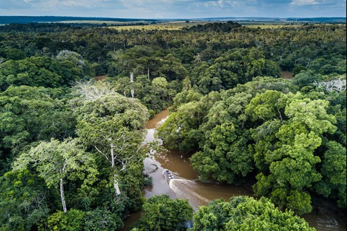 east_facts's tweet photo. FACT: The Congo River has a depth of 230 metres, making it the world's deepest river. https://t.co/SRcqIHxRcA