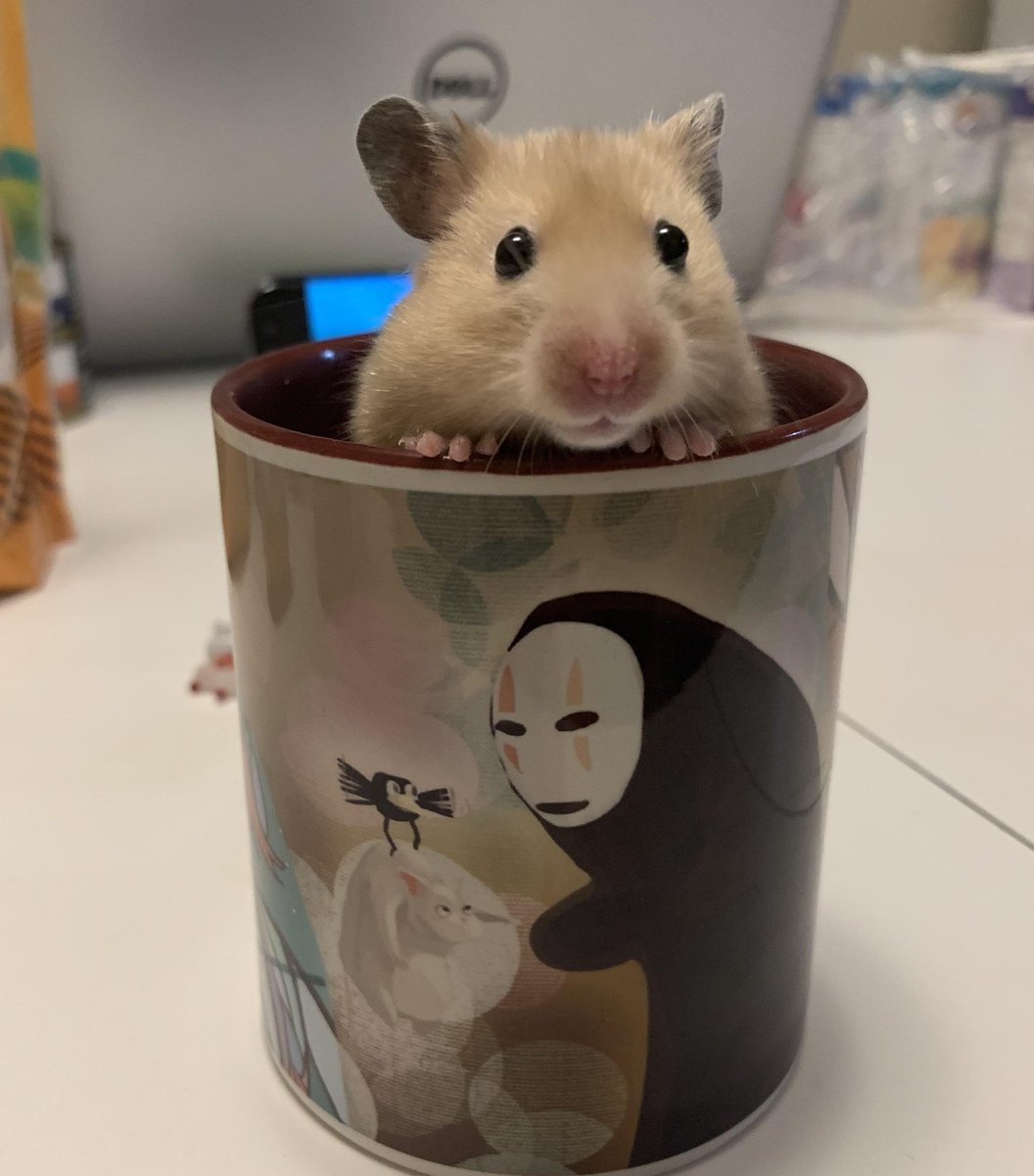 Johnny Depp as hamsters