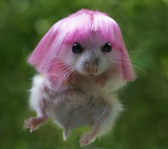 Johnny Depp as hamsters