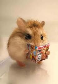 Johnny Depp as hamsters