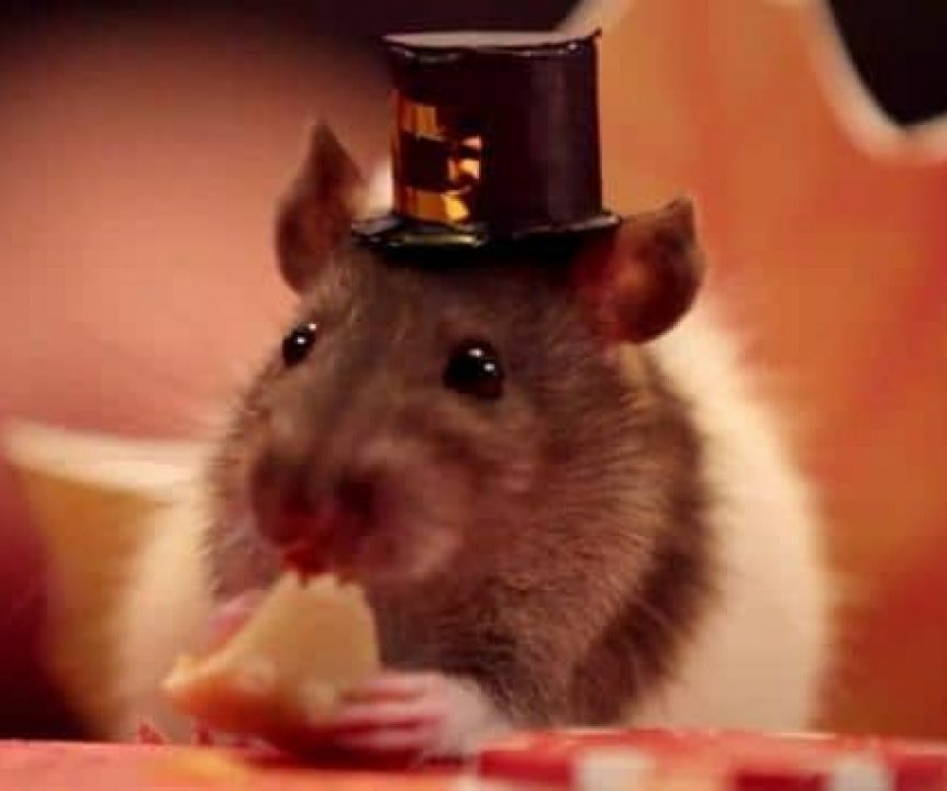 Johnny Depp as hamsters