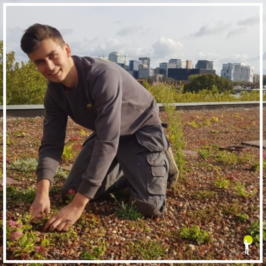 Wilt u ook zo graag worden omringd door natuur? 

Het heerlijke winterweer zorgt voor overvolle natuurgebieden. 
Meerdere gemeentes roepen op om niet meer naar de natuurgebieden te komen vanwege deze drukte. 

Haal de natuur gewoon naar huis, op uw dak bijvoorbeeld!