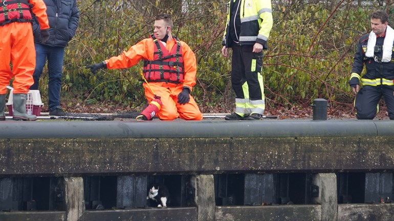 Hulpdiensten met schepnet bieden uitkomst voor kat in het nauw: De brandweer is er voor mens en dier.