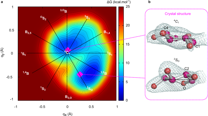Comprehensive characterization of a family 43 glycoside hydrolase provides mechanistic insights into the enzymatic breakdown of hemicellulose. <a href="/m_abmorais/">Mariana Morais</a>, <a href="/Murakami_LNBR/">Mario Murakami - Structural Enzymology</a>, <a href="/CRovira_Bcelona/">Carme Rovira</a>

go.nature.com/3p4afDF