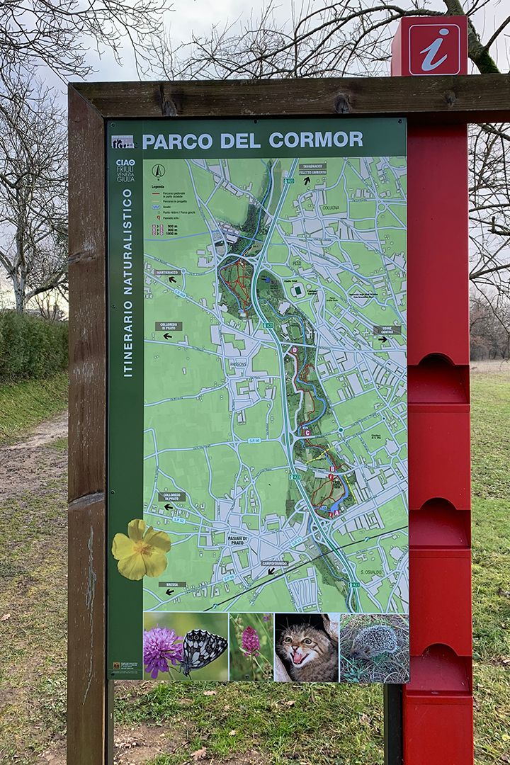 GemonaTurismo's tweet photo. Con Veronica Durlavig, Social Ambassador di @FVGlive, andiamo a scoprire aspetti del Parco del #Cormor #Udine poco conosciuti e che possono sorprendere: https://t.co/3euuTklLz4
#FVGlive https://t.co/RgiBA9KBVC