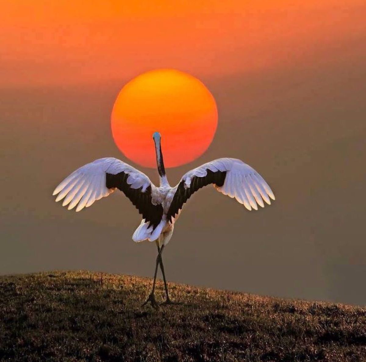 ramblingsloa's tweet photo. The Earth has music for those who listen.

George Santayana https://t.co/UgZJ02chiO