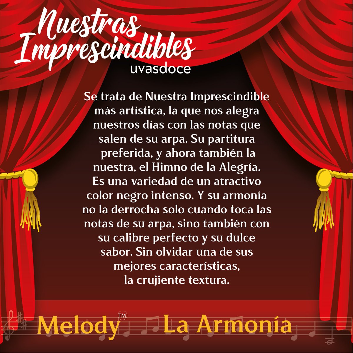 Hoy os presentamos a Melody ™ - La Armonía una variedad negra sin semillas con un dulzor inconfundible. También se caracteriza por su gran tamaño y armonía. 

Visita nuestra web 🤩💚🥰
uvasdoce.com

#Uvas #Uvasdoce #uvasfrescas #salud #saludable #saludaldia #frutas