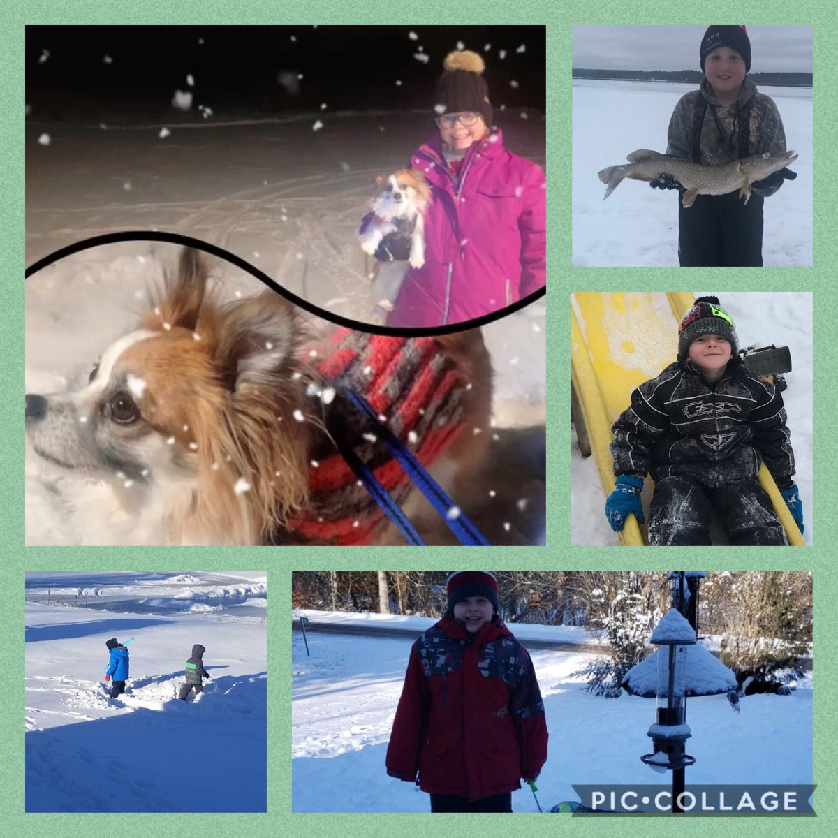 MichaelFitzOCSB's tweet photo. More outdoor fun! #Mustangrun https://t.co/5YSQP6SpJB