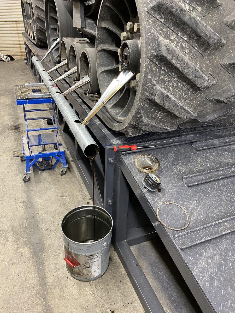 Lindsay Masse tweet media