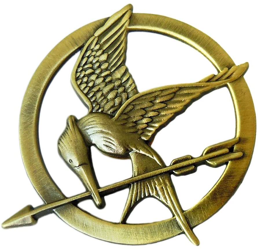 evan_baum's tweet photo. OMG @ladygaga is wearing what looks to be a mocking jay pin #whistle https://t.co/lQgjYq65xE