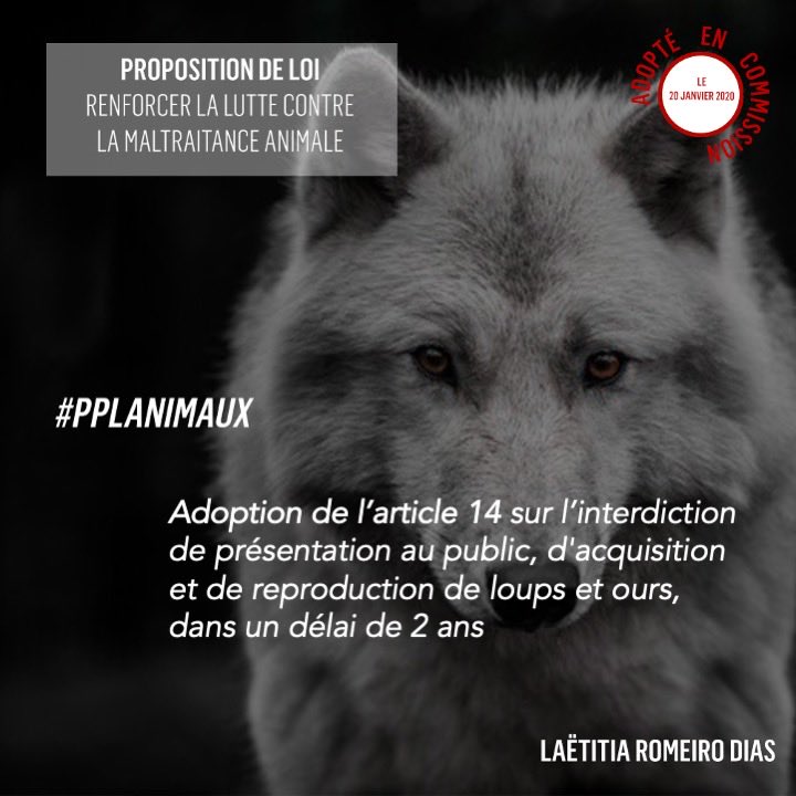 Romeiro1L's tweet photo. ✅Adoption de l’article 14 sur l’interdiction de présentation au public, d'acquisition et de reproduction de loups et ours, dans un délai de 2 ans
#Pplanimaux #maltraitanceanimale #conditionanimal https://t.co/JOEyVxMA50