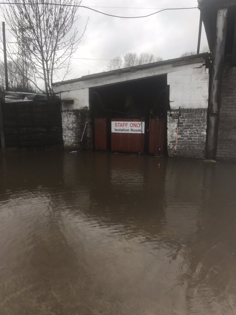 JSEquestrian's tweet photo. Just when we thought it couldnt get any worse, we really need your help now. The horses are safe &amp; well. Please stay safe everyone, we have evacuated one half of the yard- never before done in over 20years,

https://t.co/c4cqO1naPa https://t.co/vZSfAJIqZR