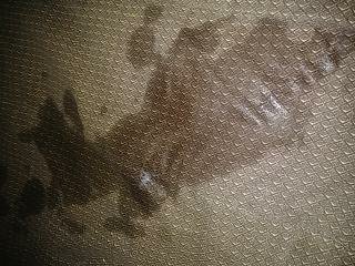 🔥50% OFF FOR THE NEXT 5 SUBS ONLY!!!!🔥  Top 22% No PPV or paywalls 550+ Clips &amp; Pics all unscensored 5min+