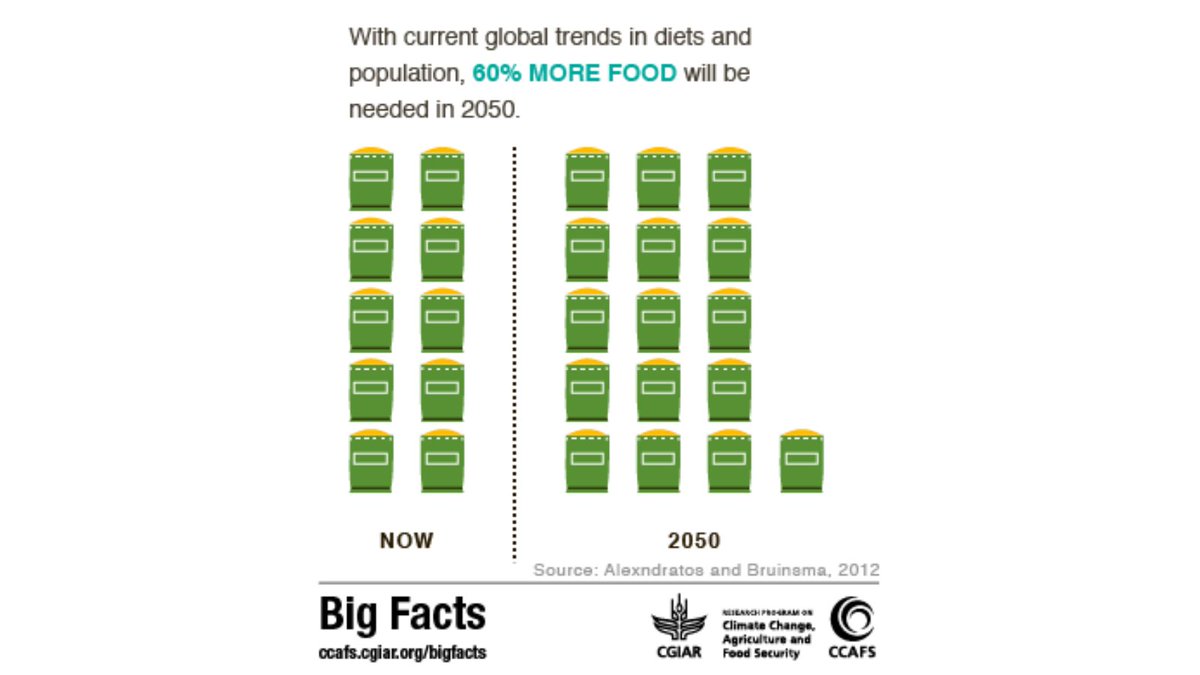 CJBS_EC's tweet photo. Can you contribute to the solution of how we #sustainably feed the world in 2050 with your #entrepreneurial or #innovative mindset?

@CGIAR
 ‘Big Facts’ state 60% more food is required!

To join a #CamVCW Team, book your place: https://t.co/1bovyFA2I1

@Illumina @GlobalFood_Camb https://t.co/qBlRDc4Dpj