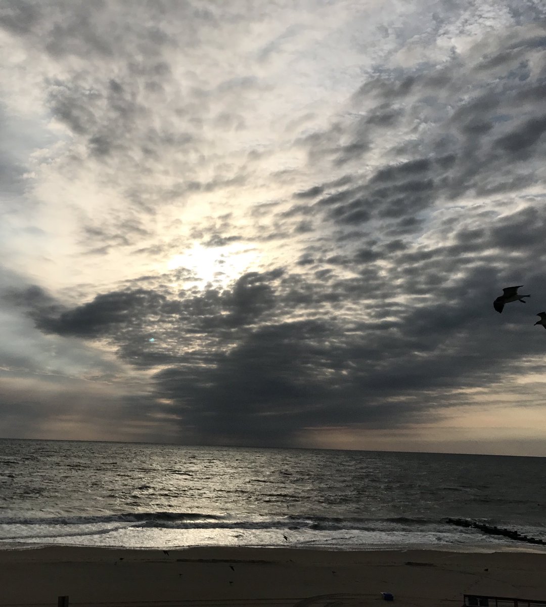 jennifer brough tweet media