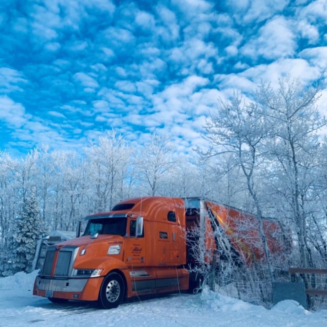 QMMAllied's tweet photo. Talk about a winter wonderland! ❄️ Check out this beautiful shot taken by our Owner Operator, Clayton, just outside of Winnipeg. 

#longdistancemoving #yyc #yvr #yyz #yeg #18wheelers #bigrig #semitruck #trucklove #winterdriving #winter https://t.co/ut715wfr9W