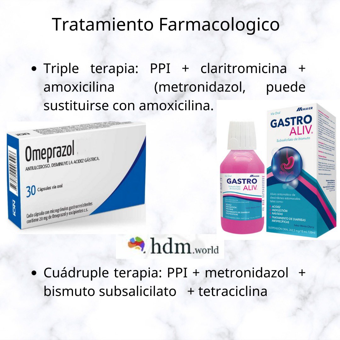 HWorldllc's tweet photo. Infección por Helicobacter pylori 🚑🧠🥼 #infeccion #pylori #bacilo #gram #sintomas #presencia #epitelio #gastrico #transmision https://t.co/69OMYHuyc7