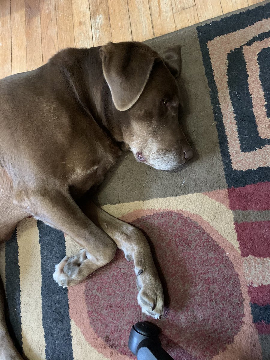 mskmayo's tweet photo. My co-teacher is snoring In class today... 😀 https://t.co/WC81B5IeEa