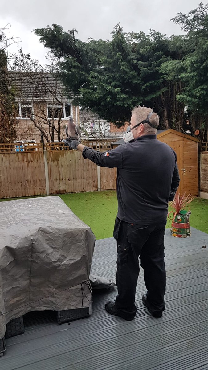 WorcsChimneyServices tweet media