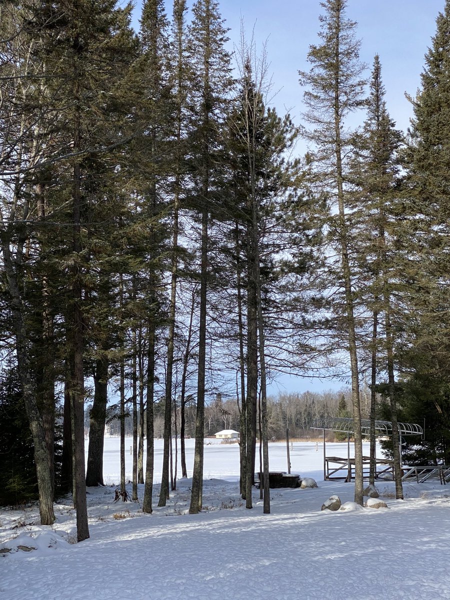 DanaKillion1's tweet image. As Joe Biden and Kamala Harris were inaugurated, the sun came out here in N WI after weeks of grey. Symbolic and telling and uplifting.
#2021willbebetter