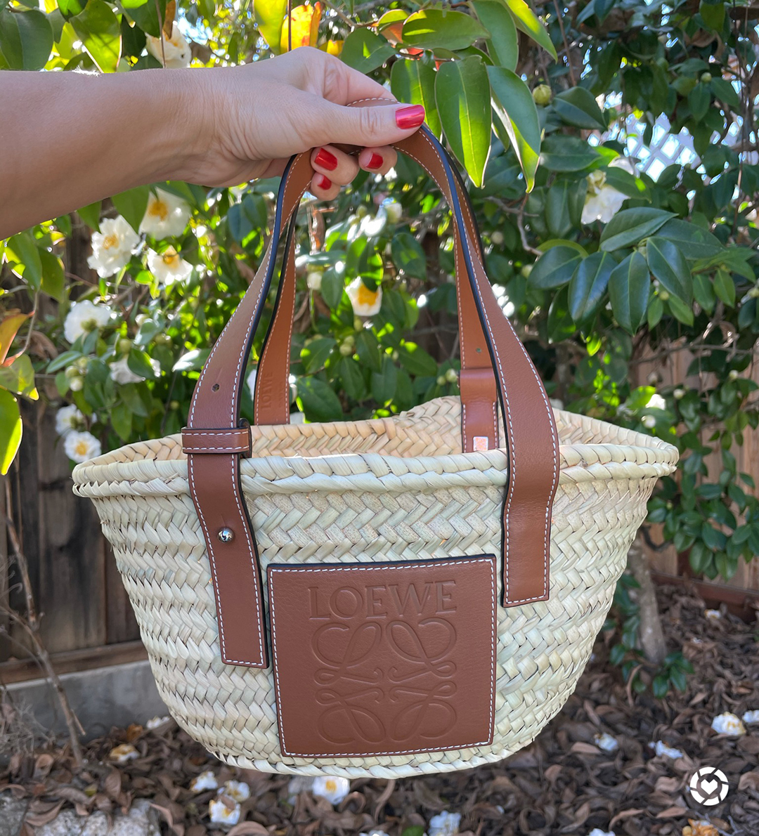 BAFtweets's tweet photo. Talking about the Loewe basket bag, mini size, on the blog -> https://t.co/DXixPFjea3 #handbags #itbags #handbagreviews https://t.co/NMFlfvQCEd