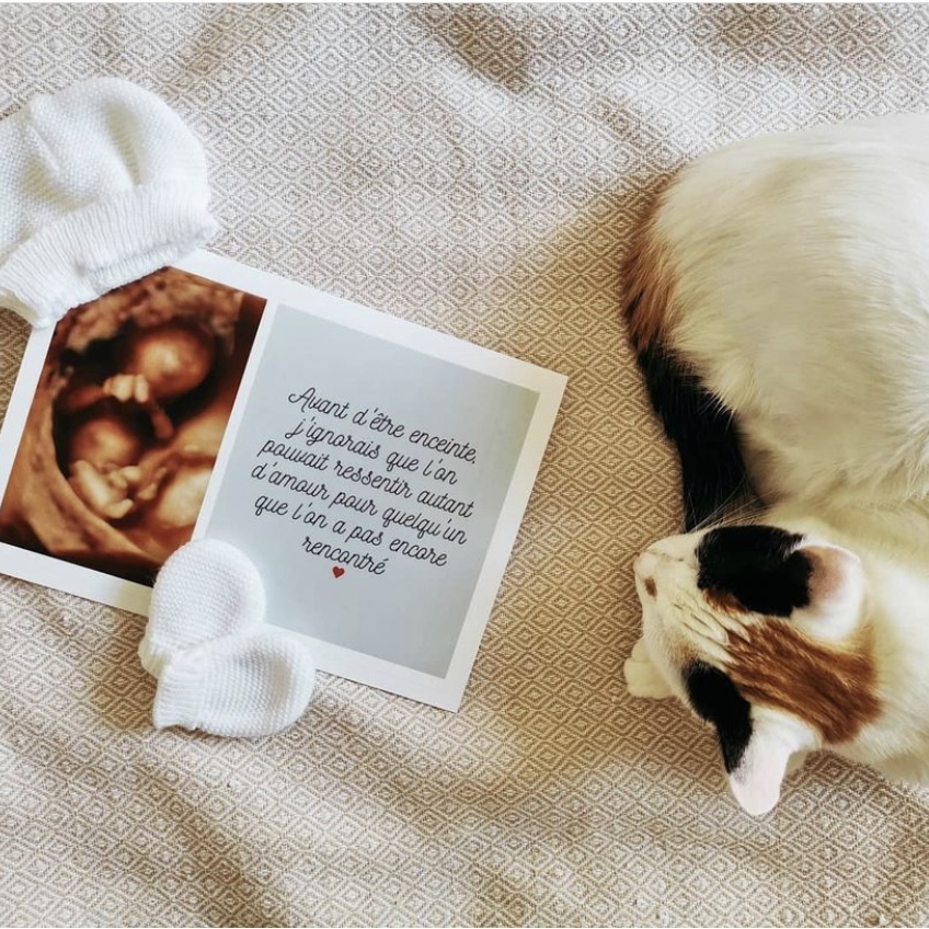 😻 Magnifique publication de @carolane__a !  
Merci pour cette photo si mignonne ! 👼
💫Découvrez son blog bit.ly/2LFKMST  

#lifestyle #lifestyleblogger #blogueuse #cartepostale #offrir #cadeau #blogueuselifestyle #instablogger #bloggers #Chat #cat #baby #Bebe #maman