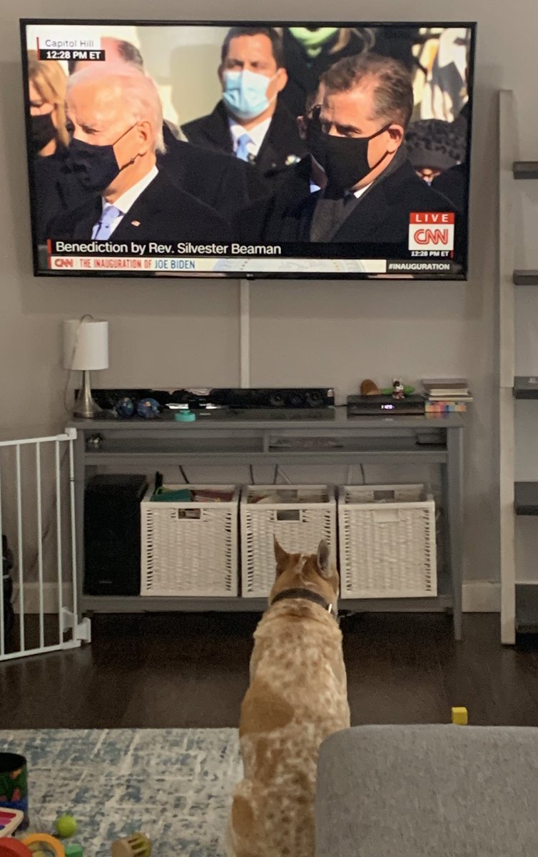 Even my dog is hopeful about this presidency and 2021!