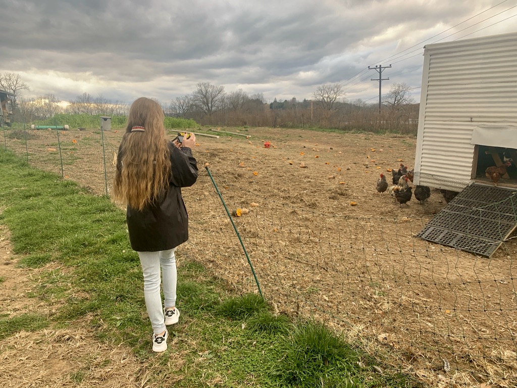 Mountain Echoes Story Works builds digital media skills through creative challenges. The 5x5 is a storytelling challenge where our Junior Crew set out with a camera and assemble 5 clips, each 5 sec long, to tell a theme-centered story. 
View here: rb.gy/xp9qi5 
#5x5