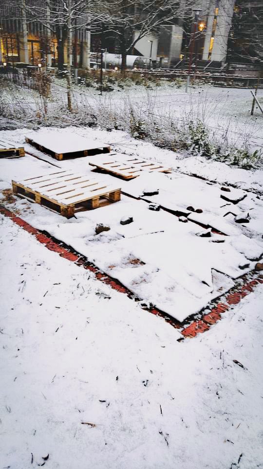 UoB Conservation tweet media