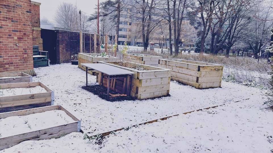 UoB Conservation tweet media