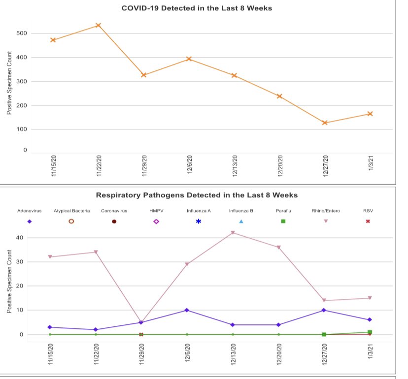 mutajenn's tweet photo. @chadhayesmd Data from CO. COVID split off because the Y axis hasn’t overlapped since July. No RSV, no flu. https://t.co/A0STRLk8NS
