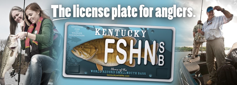 KFWFoundation's tweet photo. Want your own smallmouth bass specialty license plate? You can purchase your plate at your local County Clerks Office. Proceeds for this plate, portraying the world record smallmouth bass caught in Dale Hollow Lake in 1955, will support youth conservation programs in KY. https://t.co/p1Z6vpYtEM