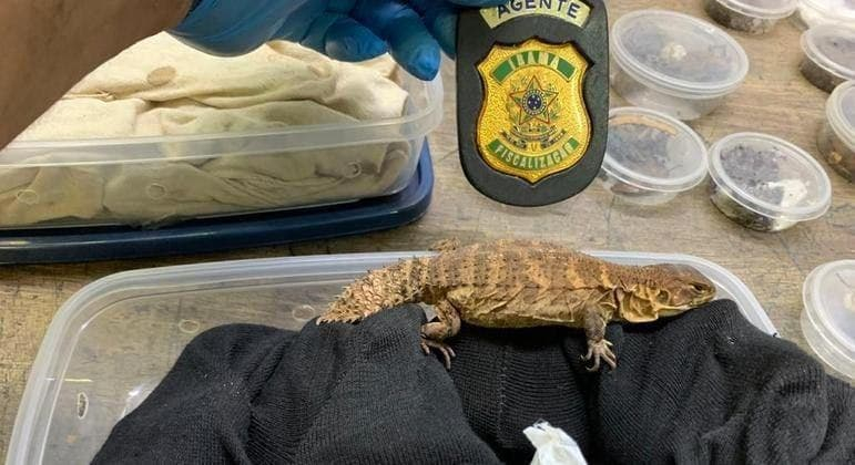 Лента.ру tweet media