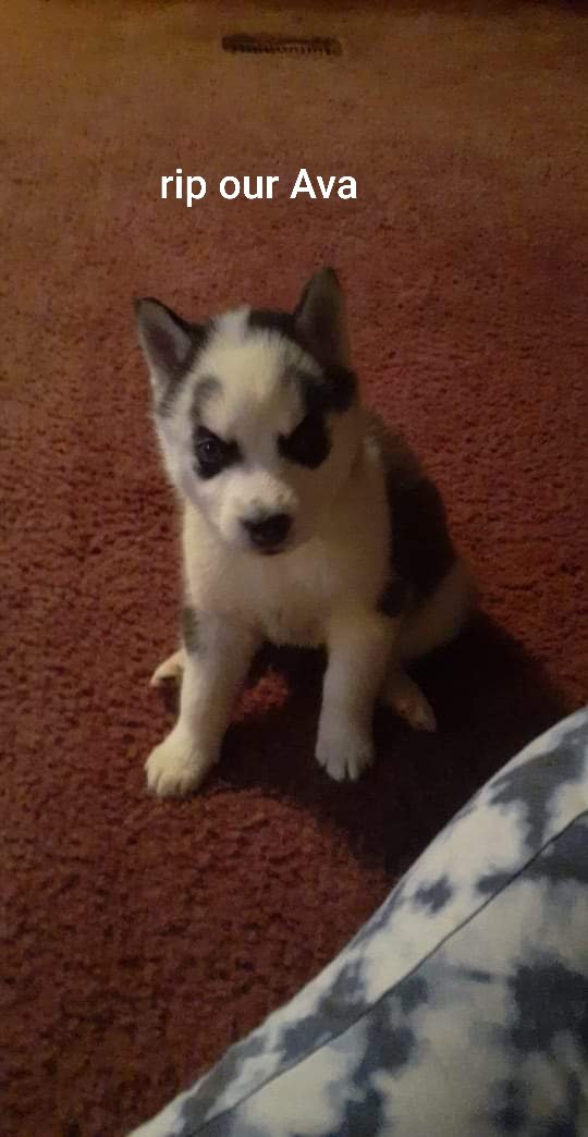 ruby_christy's tweet image. 