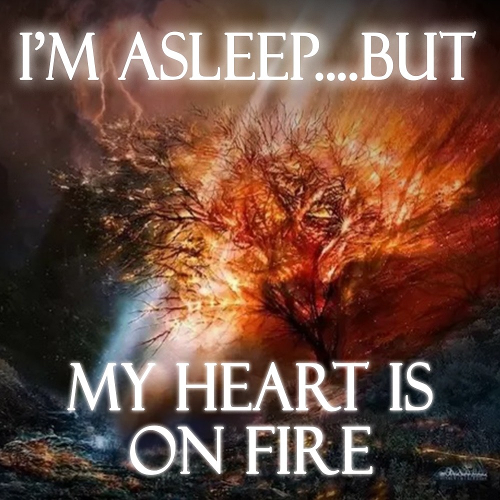 I'M ASLEEP....BUT MY HEART IS ON FIRE episode of Living Aligned Podcast
open.spotify.com/episode/6B6637…